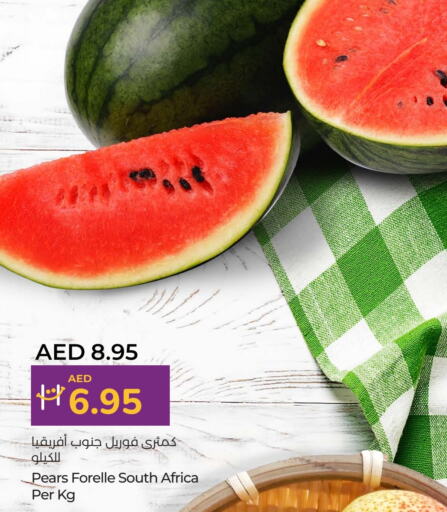 بطيخ from South Africa available at لولو هايبرماركت in الإمارات العربية المتحدة , الامارات - ٱلْعَيْن‎