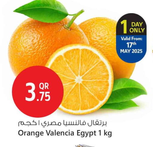 Orange from Egypt available at سفاري هايبر ماركت in قطر - الشحانية