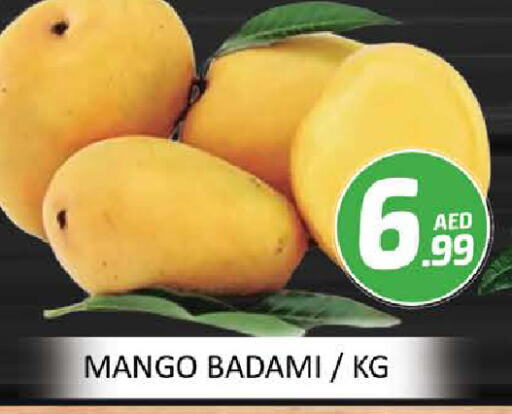 Mangoes available at Mango Hypermarket LLC in UAE - Dubai