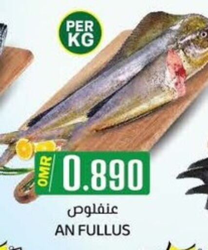 available at ك. الم. للتجارة in عُمان - مسقط‎