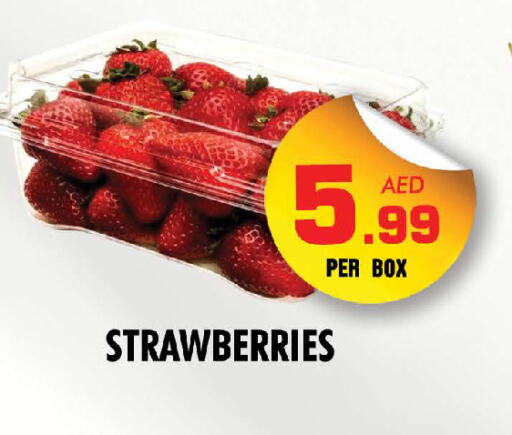 available at NIGHT TO NIGHT DEPARTMENT STORE in UAE - Dubai