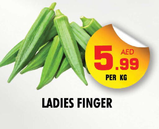 available at NIGHT TO NIGHT DEPARTMENT STORE in UAE - Dubai
