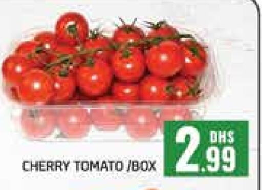 Tomato available at Al Madina  in UAE - Dubai