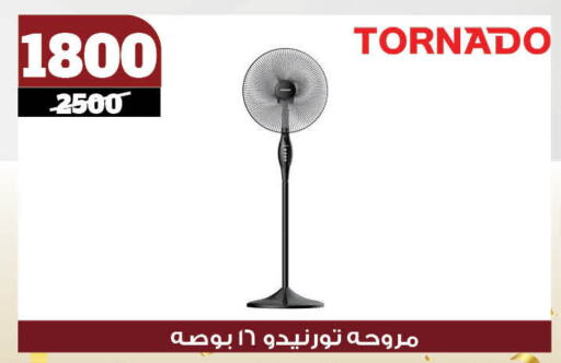 جاك مروحة available at كوكو اند اس in Egypt - القاهرة
