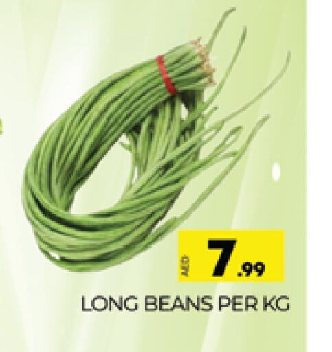 Beans available at AL MADINA (Dubai) in UAE - Dubai