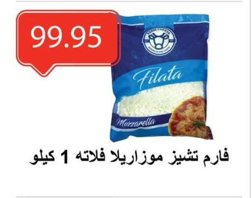 Mozzarella available at El-Hawary Market in Egypt - Cairo