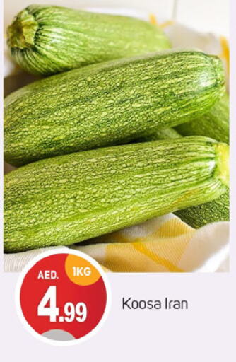 الخضروات الطازجة in سوق طلال, UAE Offers - الإمارات العربية المتحدة from Iran available at سوق طلال in الإمارات العربية المتحدة , الامارات - دبي