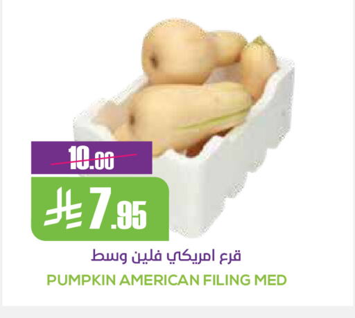 Pumpkin from United States available at Sapt in KSA, Saudi Arabia, Saudi - Buraidah