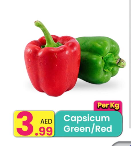 Chilli / Capsicum available at Everyday Center in UAE - Sharjah / Ajman