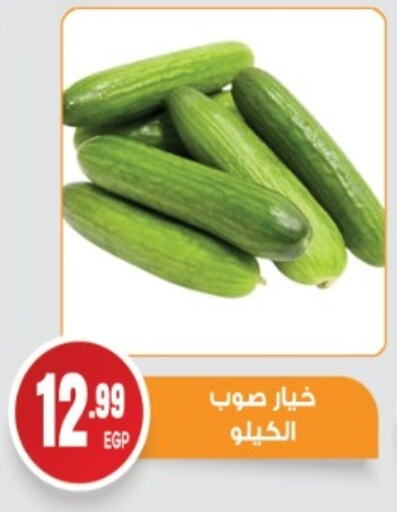 Cucumber available at El mhallawy Sons in Egypt - Cairo