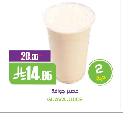 Guava available at سبت in مملكة العربية السعودية, السعودية, سعودية - بريدة