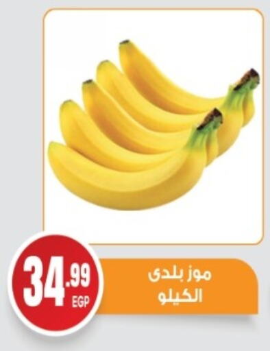 Fresh Fruits in El mhallawy Sons, Egypt Offers - Egypt Banana available at El mhallawy Sons in Egypt - Cairo