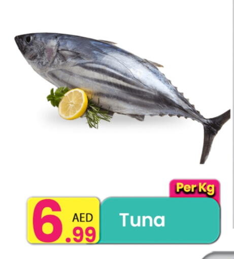 تونة available at مركز كل يوم in الإمارات العربية المتحدة , الامارات - رَأْس ٱلْخَيْمَة