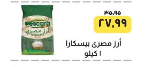 Calrose Rice available at Kheir Zaman  in Egypt - Cairo