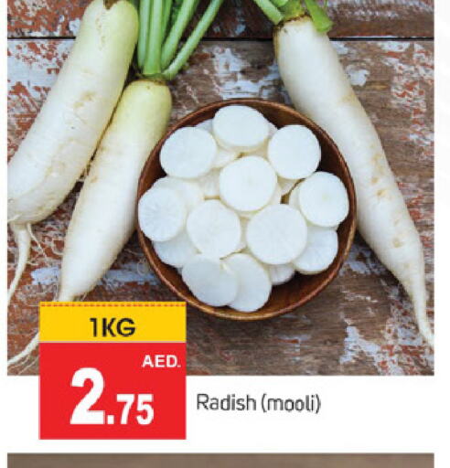 فجل available at سوق طلال in الإمارات العربية المتحدة , الامارات - الشارقة / عجمان