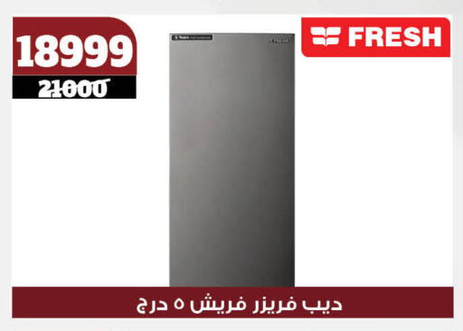 Freezer available at Koko & S in Egypt - Cairo