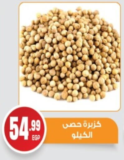 Pulses, Beans & Grains in El mhallawy Sons, Egypt Offers - Egypt available at El mhallawy Sons in Egypt - Cairo
