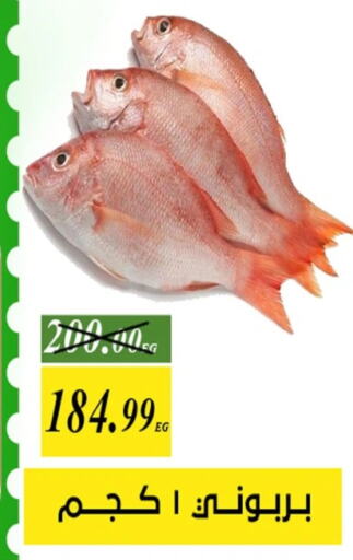 available at جرين تري هايبرماركت - سوهاج in Egypt - القاهرة