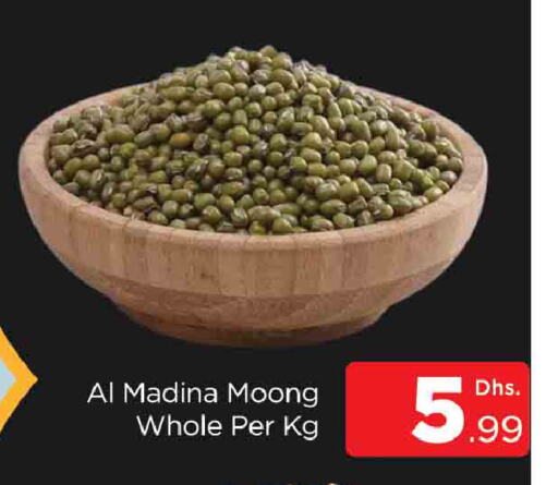 available at المدينة in الإمارات العربية المتحدة , الامارات - دبي