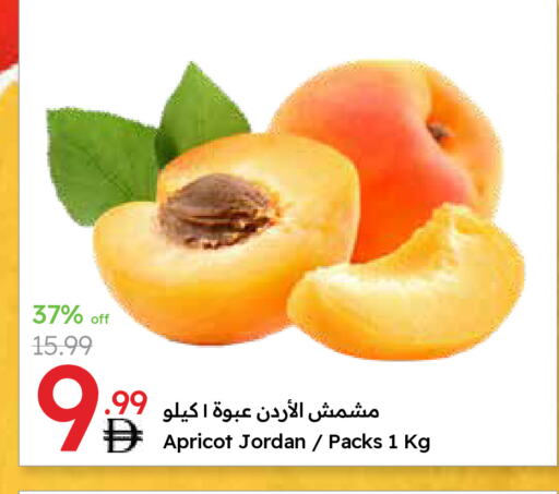 Apricot from Jordan available at جمعية الامارات التعاونية in الإمارات العربية المتحدة , الامارات - دبي