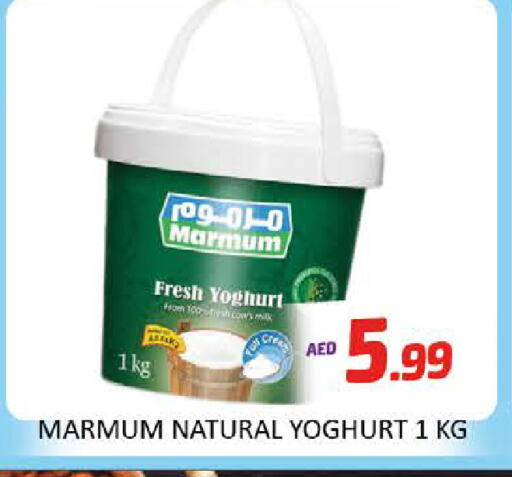 MARMUM Yoghurt available at Al Madina  in UAE - Dubai