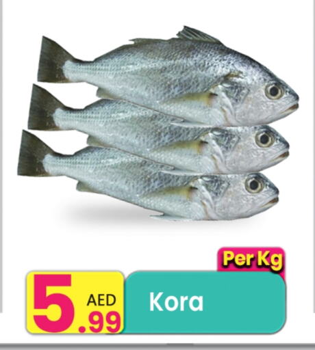 available at Everyday Center in UAE - Dubai