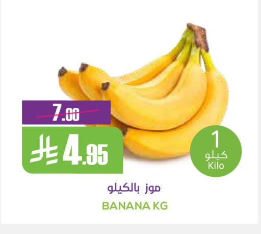 Banana available at Sapt in KSA, Saudi Arabia, Saudi - Buraidah