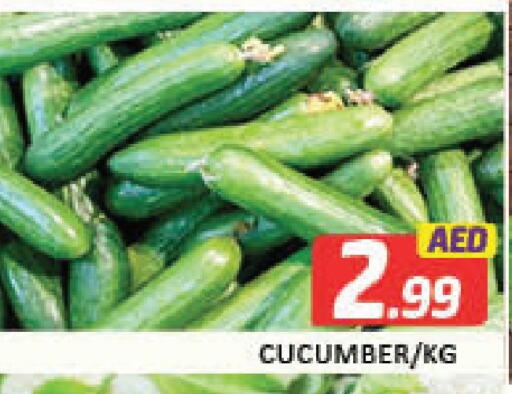Cucumber available at Mango Hypermarket LLC in UAE - Dubai