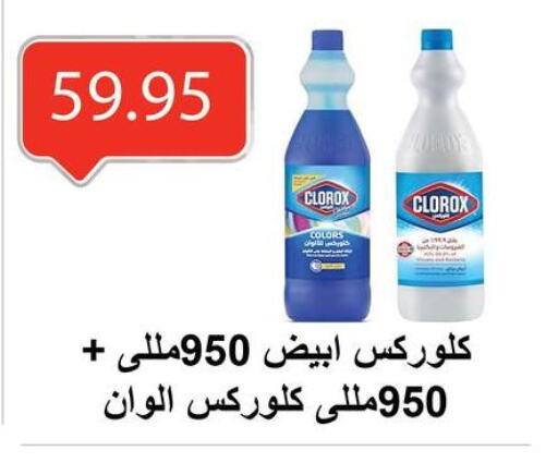 CLOROX General Cleaner available at El-Hawary Market in Egypt - Cairo