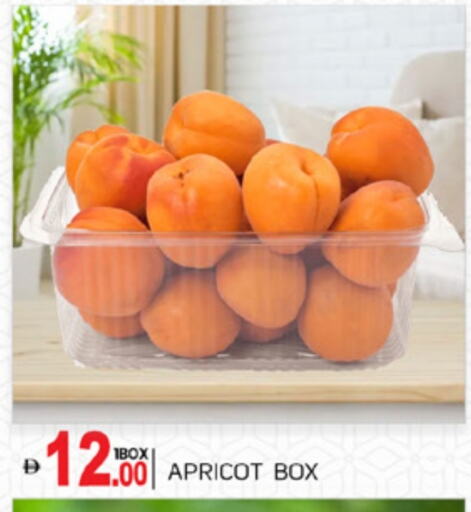 Apricot available at سوق طلال in الإمارات العربية المتحدة , الامارات - دبي