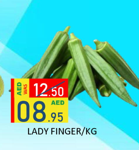 Lady's finger available at ROYAL GULF HYPERMARKET LLC in UAE - Abu Dhabi