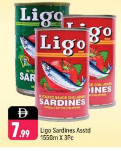 سردين - معلب available at شكلان ماركت in الإمارات العربية المتحدة , الامارات - دبي