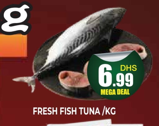 الأسماك الطازجة in اينس المدينة هايبرماركت, UAE Offers - الإمارات العربية المتحدة تونة available at اينس المدينة هايبرماركت in الإمارات العربية المتحدة , الامارات - الشارقة / عجمان