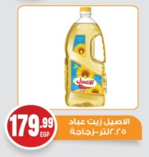 available at El mhallawy Sons in Egypt - Cairo