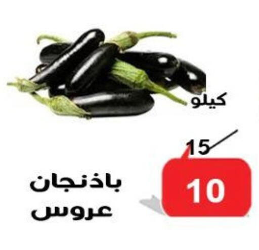 available at الدنيا بخير in Egypt - القاهرة