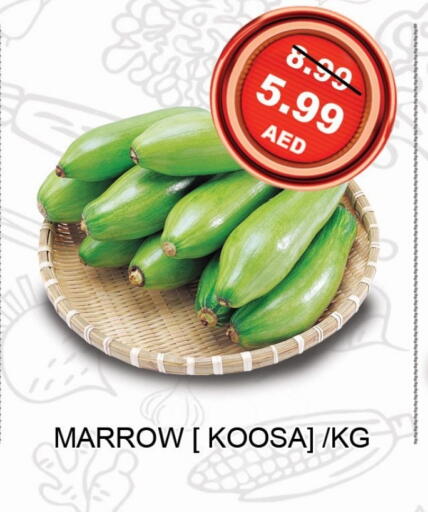 الخضروات الطازجة in ليبتس هايبرماركت, UAE Offers - الإمارات العربية المتحدة Marrow available at ليبتس هايبرماركت in الإمارات العربية المتحدة , الامارات - رَأْس ٱلْخَيْمَة