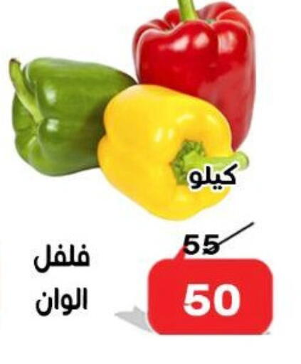 Chilli / Capsicum available at Aldoneia Bkheir ismailia  in Egypt - Cairo