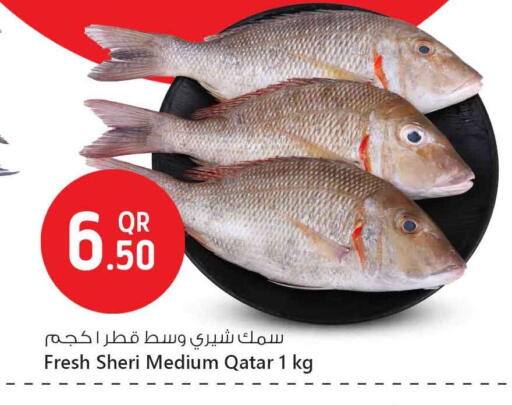 available at Safari Hypermarket in Qatar - Al Daayen