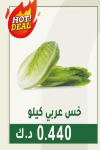 Fresh Vegetables in Granada Co-operative Association, Kuwait Offers - Kuwait available at Granada Co-operative Association in Kuwait - Jahra Governorate