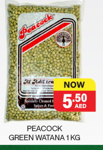 Salts, Spices & Paste in Adil Supermarket, UAE Offers - United Arab Emirates available at Adil Supermarket in UAE - Abu Dhabi