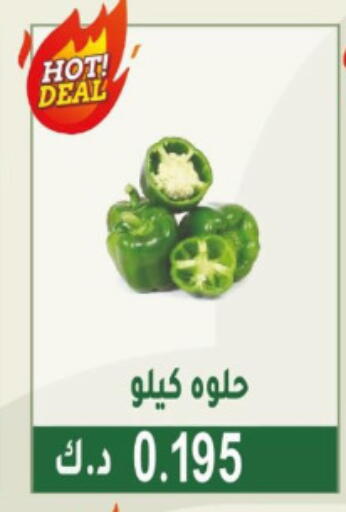 Fresh Vegetables in Granada Co-operative Association, Kuwait Offers - Kuwait available at Granada Co-operative Association in Kuwait - Jahra Governorate