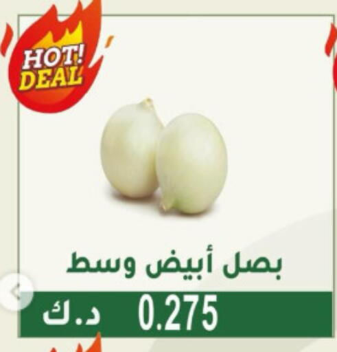 Onion available at Granada Co-operative Association in Kuwait - Jahra Governorate