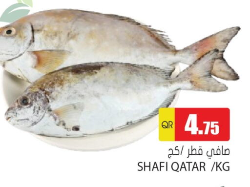 available at جراند هايبرماركت in قطر - الوكرة