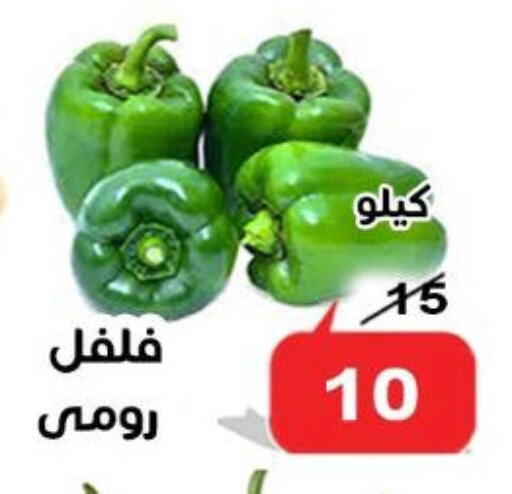 Chilli / Capsicum available at Aldoneia Bkheir ismailia  in Egypt - Cairo