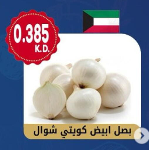 بصل available at جمعية هدية التعاونية in الكويت - محافظة الأحمدي