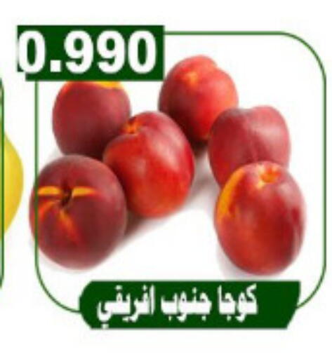 available at جمعية ضاحية علي صباح السالم التعاونية in الكويت - محافظة الأحمدي