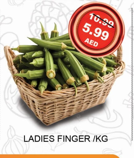 الخضروات الطازجة in ليبتس هايبرماركت, UAE Offers - الإمارات العربية المتحدة available at ليبتس هايبرماركت in الإمارات العربية المتحدة , الامارات - رَأْس ٱلْخَيْمَة