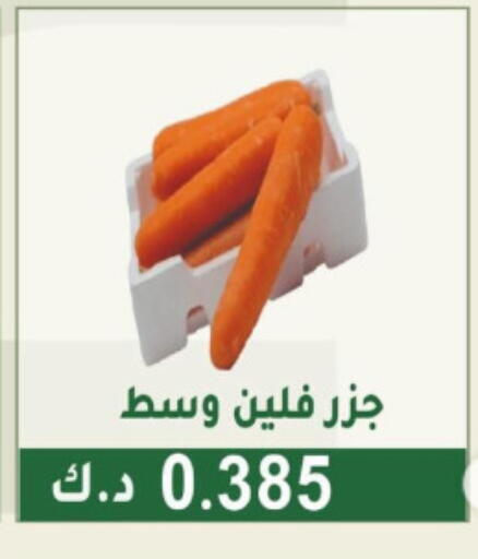 Carrot available at Granada Co-operative Association in Kuwait - Jahra Governorate