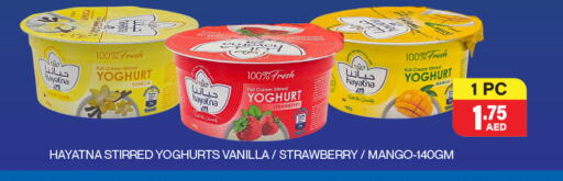 HAYATNA Yoghurt available at Adil Supermarket in UAE - Abu Dhabi