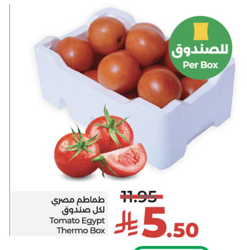 Tomato from Egypt available at LULU Hypermarket in KSA, Saudi Arabia, Saudi - Riyadh